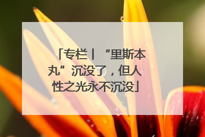 专栏丨“里斯本丸”沉没了，但人性之光永不沉没